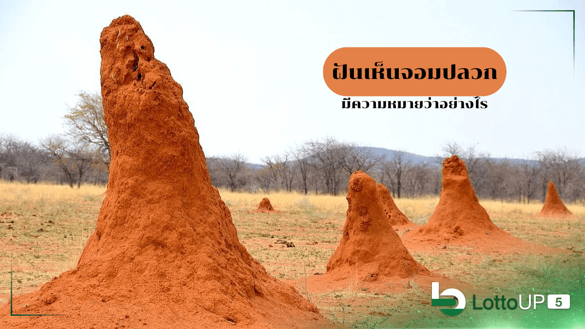 ฝันเห็นจอมปลวก