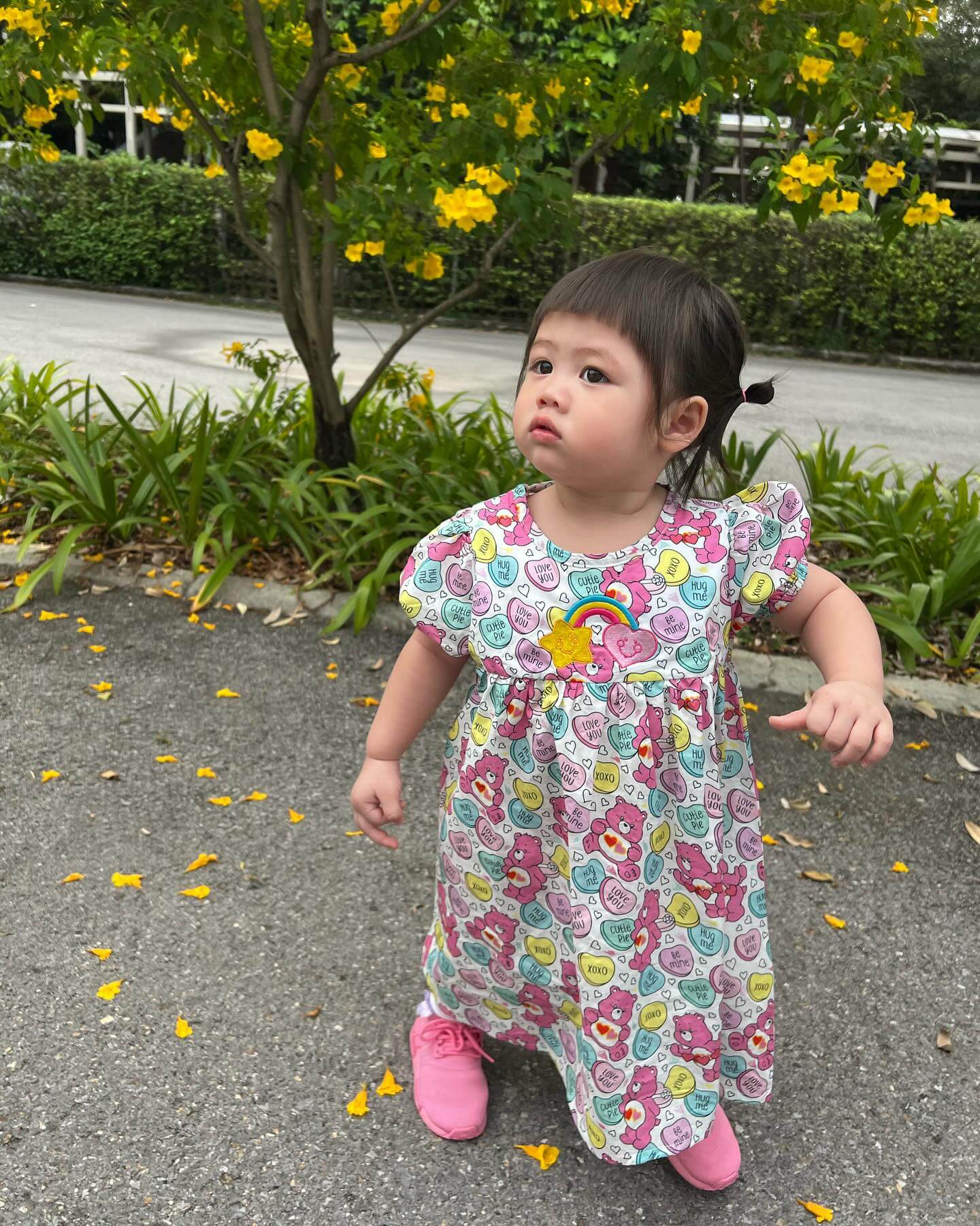 ลูกดารา 