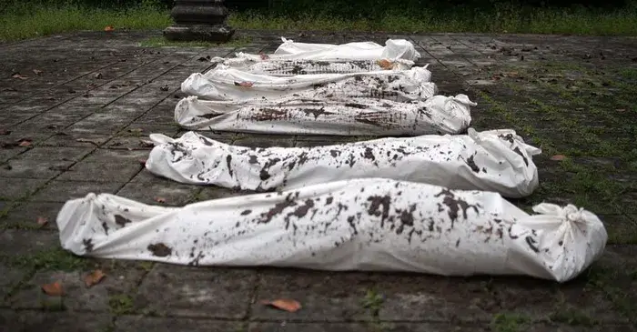 ศพหลายศพ