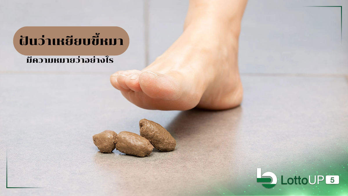 ฝันว่าเหยียบขี้หมา