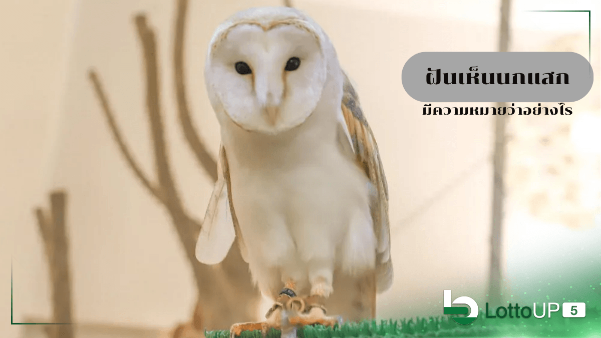 ฝันเห็นนกแสก