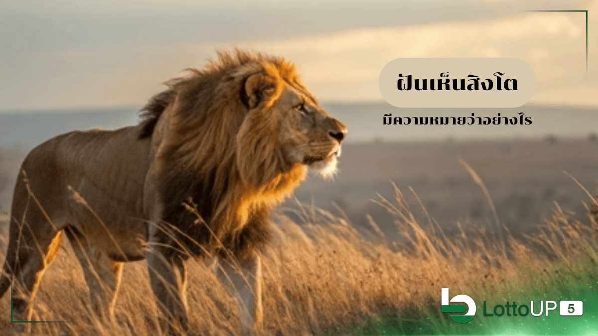 ฝันเห็นสิงโต