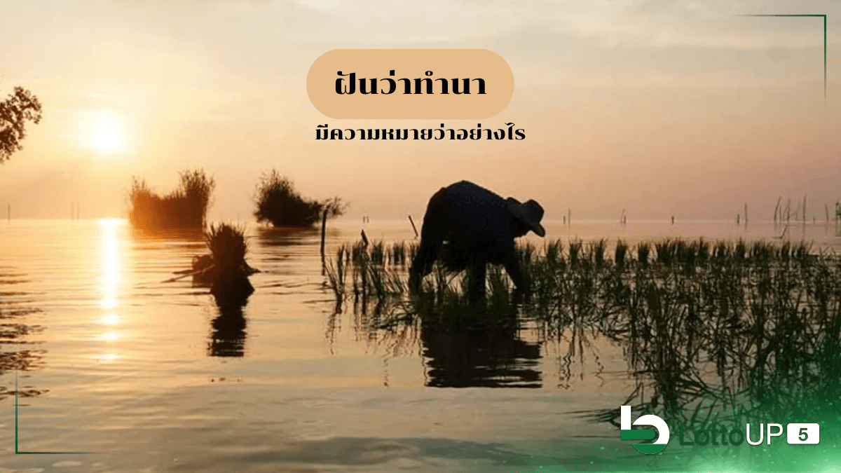 ฝันว่าทำนา