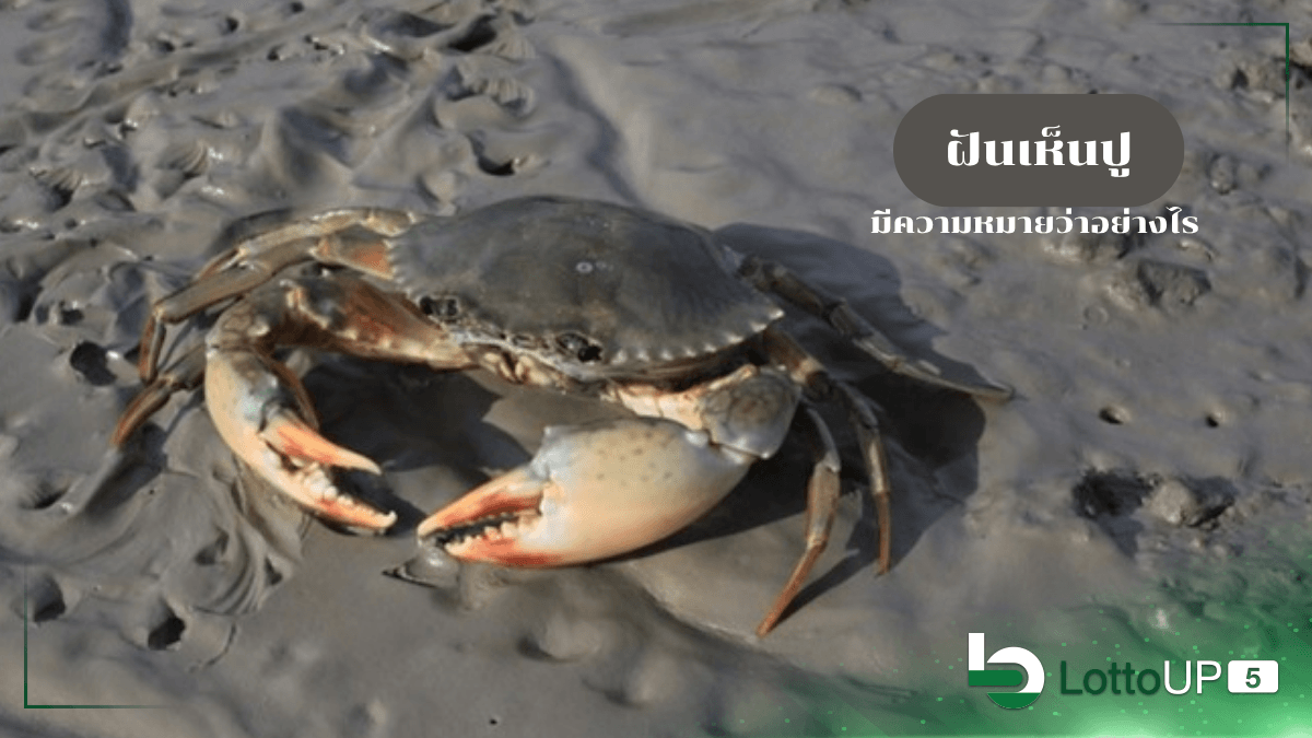 ฝันเห็นปู